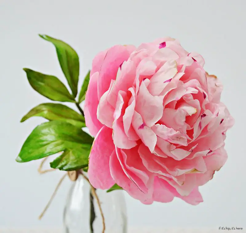 sugarcraft peony