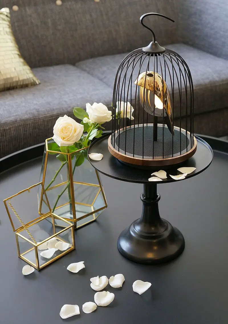birdcage speaker light