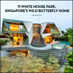 11 White House Park. Singapore’s Wild Butterfly Home.