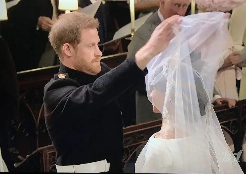 harry and meghan wedding photos