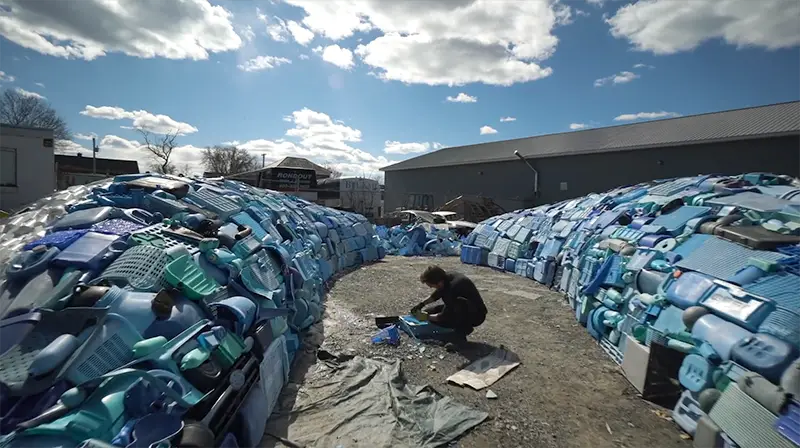 making the whale sorting the plastic by color