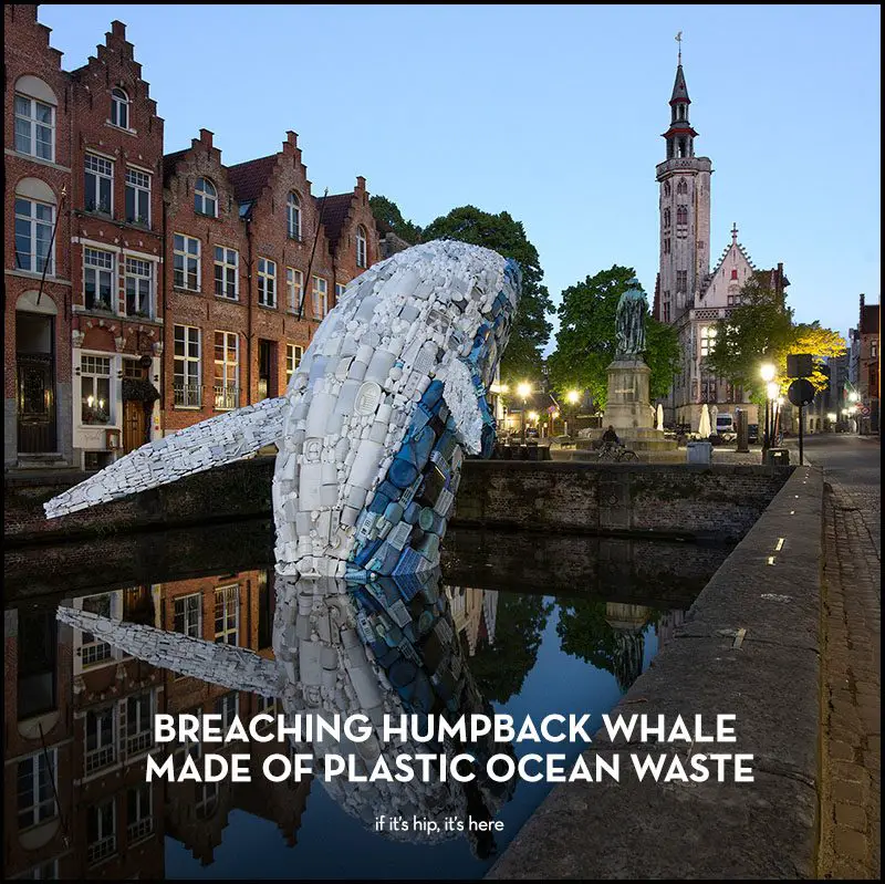 Whale Made Of Plastic Ocean Waste