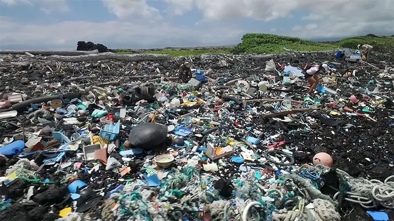 humpback whale sculpture of trash