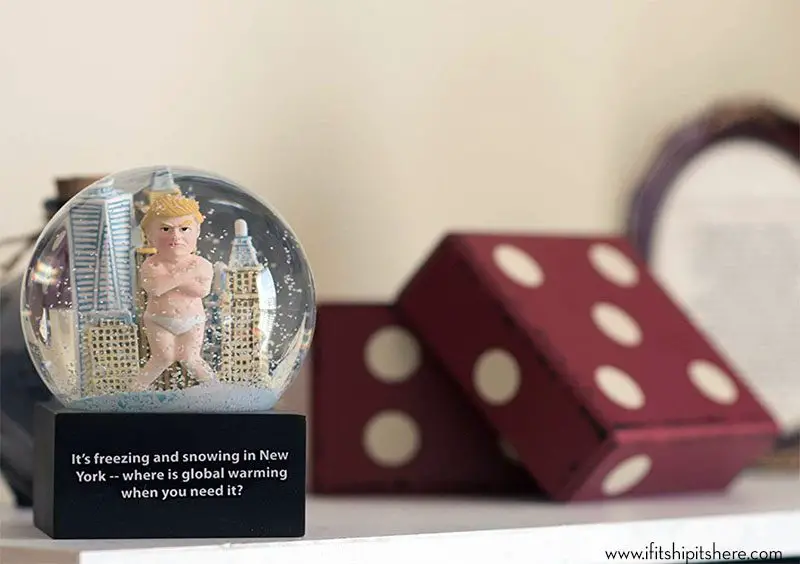 Trump Global Warming Snow Globe