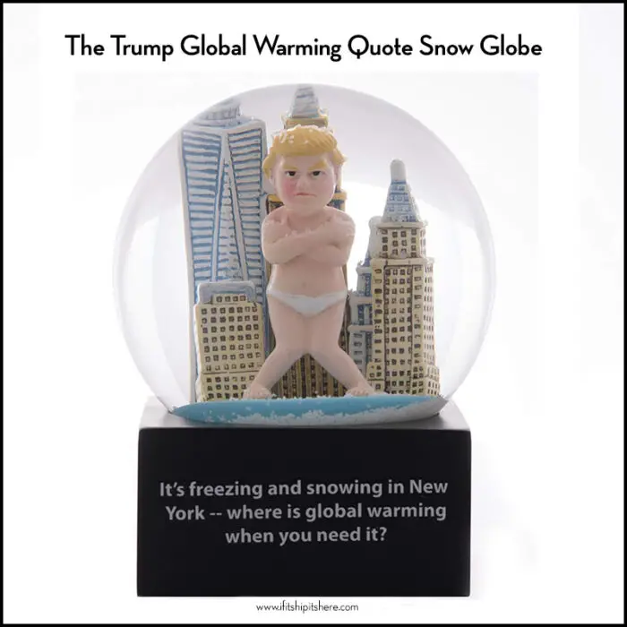 Read more about the article This Trump Global Warming Snow Globe Is Hilarious