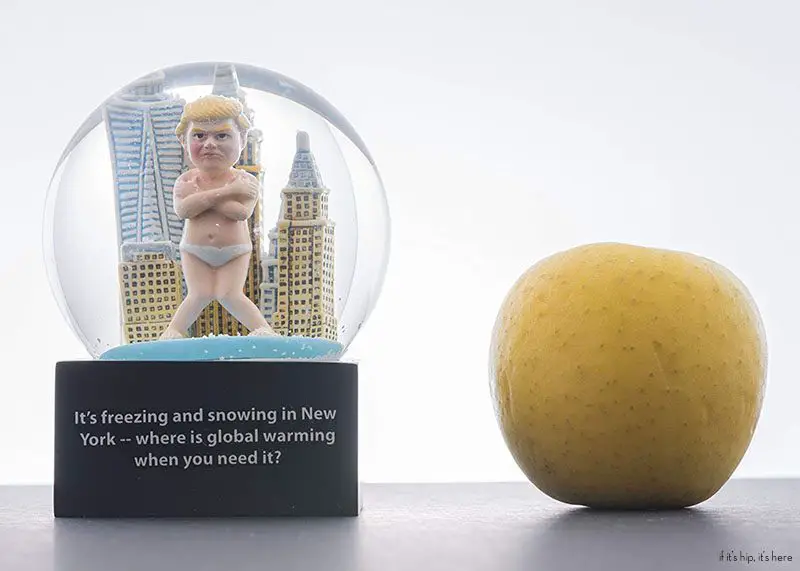 Novelty Snow Globe