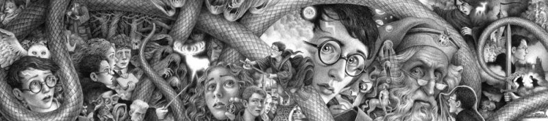 illustrated harry potter book covers