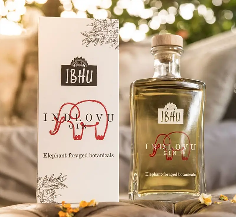 gin made from elephant dung