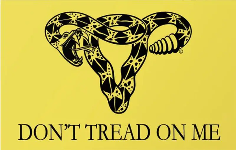 Feminist Take On Gadsen Flag