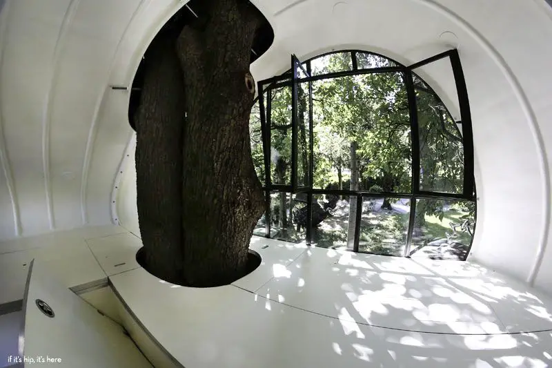 inside garden's jewel tree house