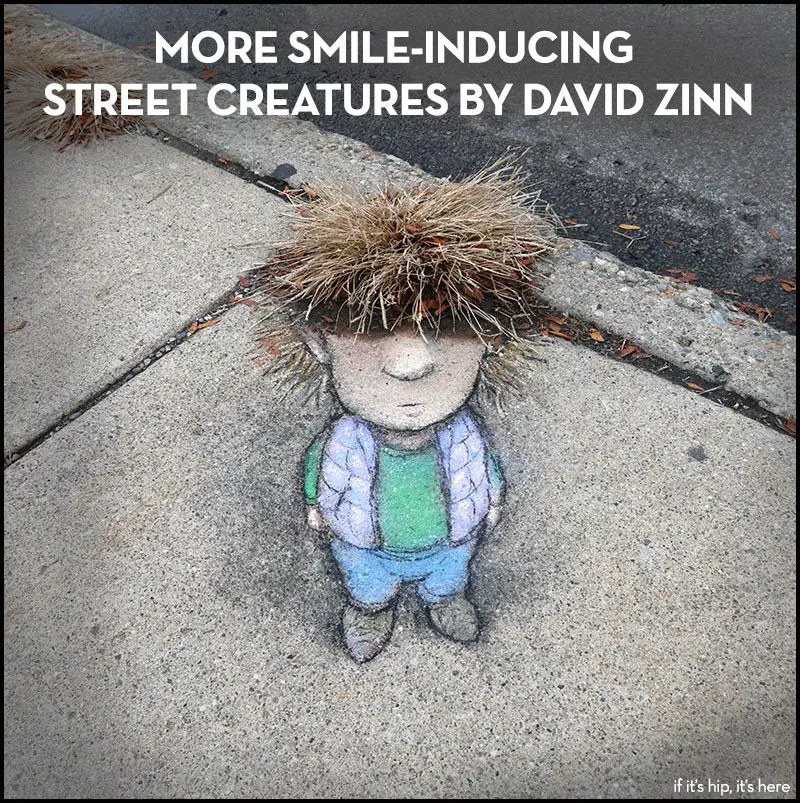 street creatures by david zinn