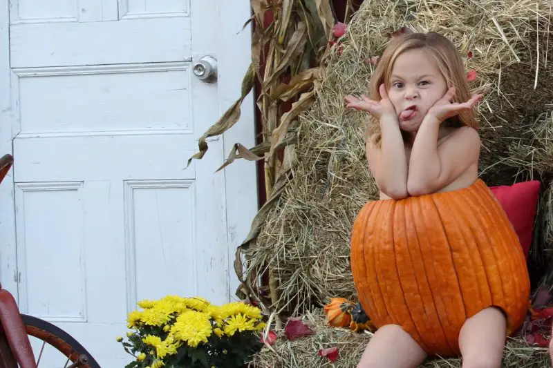child in a pumpkin shell