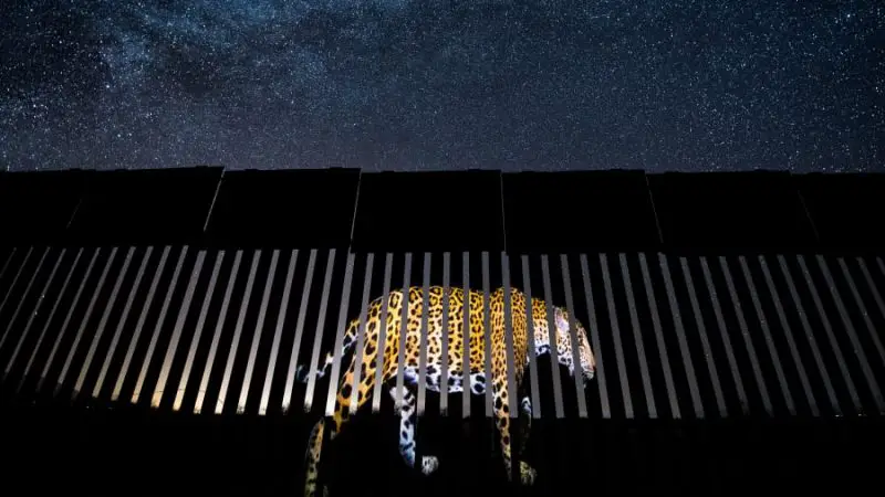 photo of cheetah by Alejandro Prieto