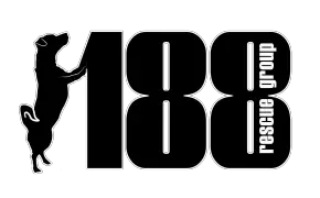 the 188 logo by laura sweet