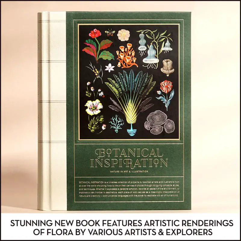 Botanical Inspiration illustrated book