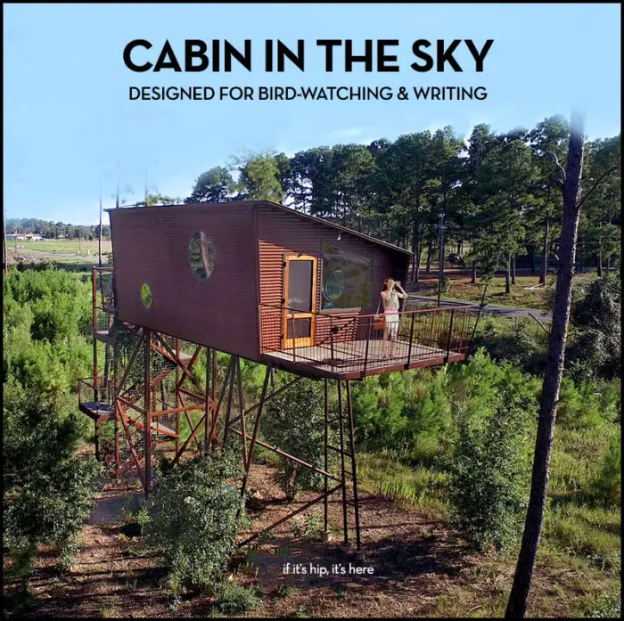 Read more about the article Cabin In The Sky Was Created For Birdwatching And Writing.