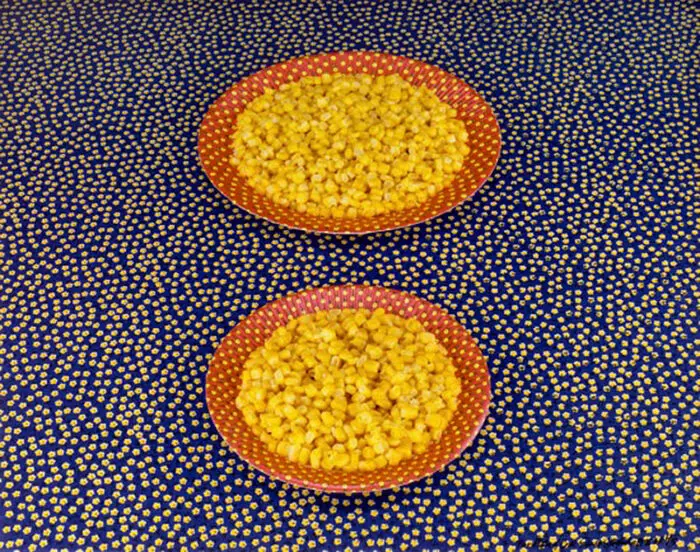 Sandy Skoglund, Two plates of corn, 1978