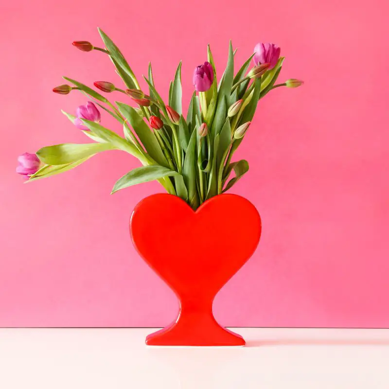 TotCor Project Heart Vases