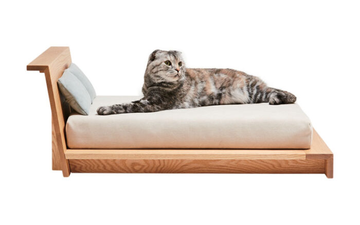 modern cat furniture