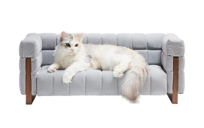 cat sofas