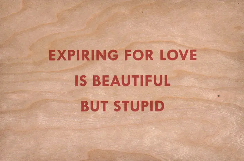 Jenny Holzer, Expiring For Love Is Beautiful But Stupid, 1994