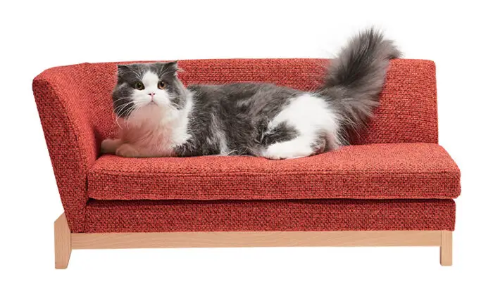 upholstered cat couch