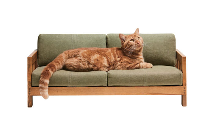 artisan cat furniture