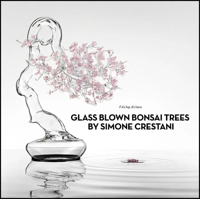 Read more about the article These Glass Bonsai Trees by Simone Crestani Are Sublime.