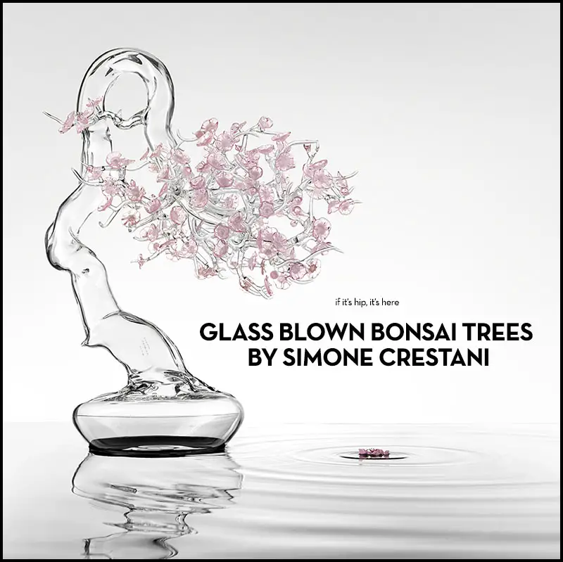 blown glass bonsai trees