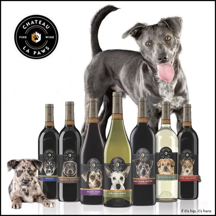 Read more about the article Wine That’s Good For Dogs But Made For People: Chateau La Paws.