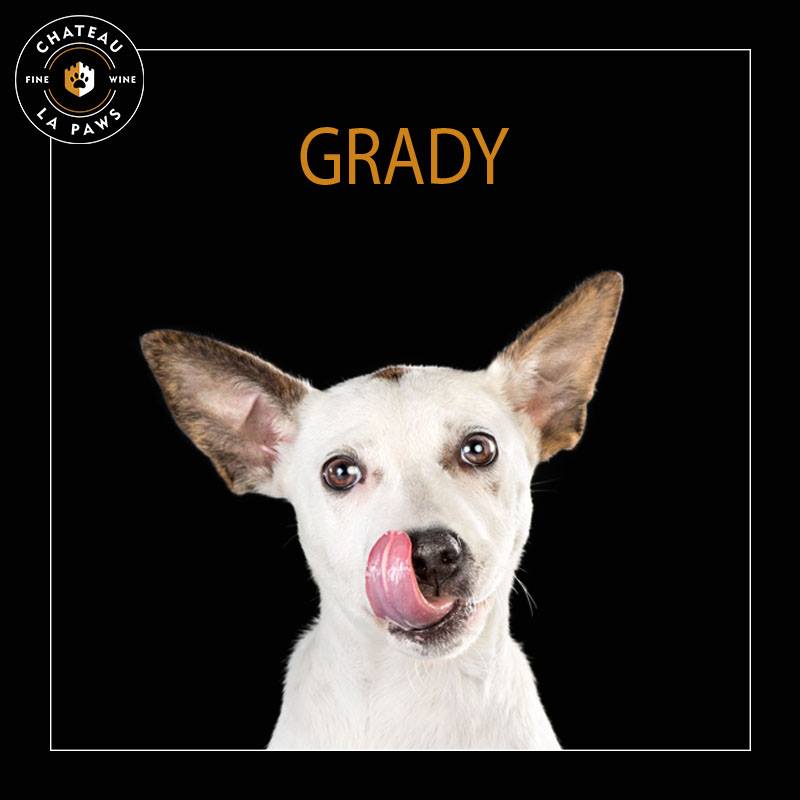 grady chateau la paws