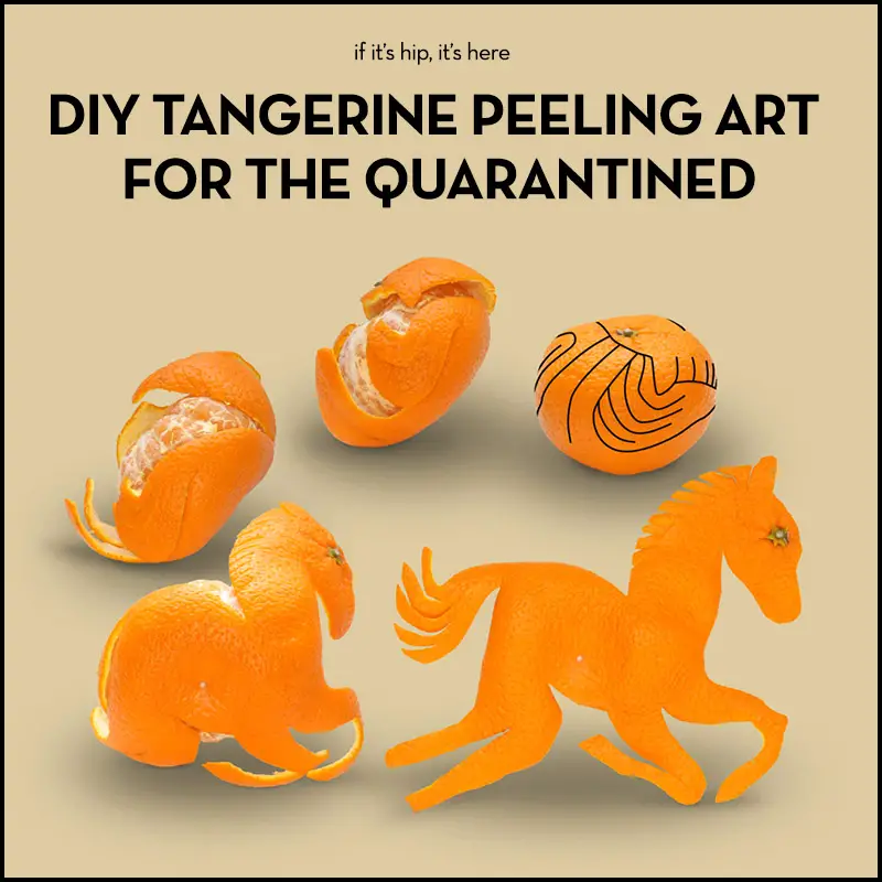 DIY tangerine peeking art