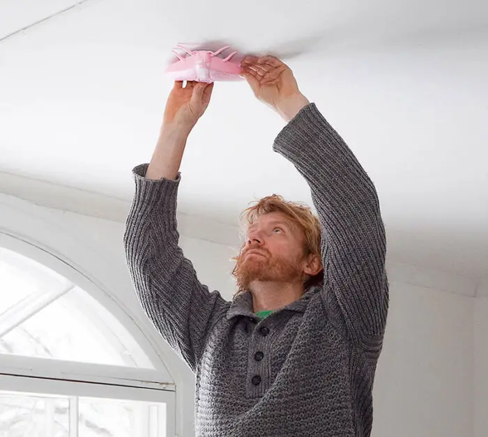 fly-shaped smoke detector