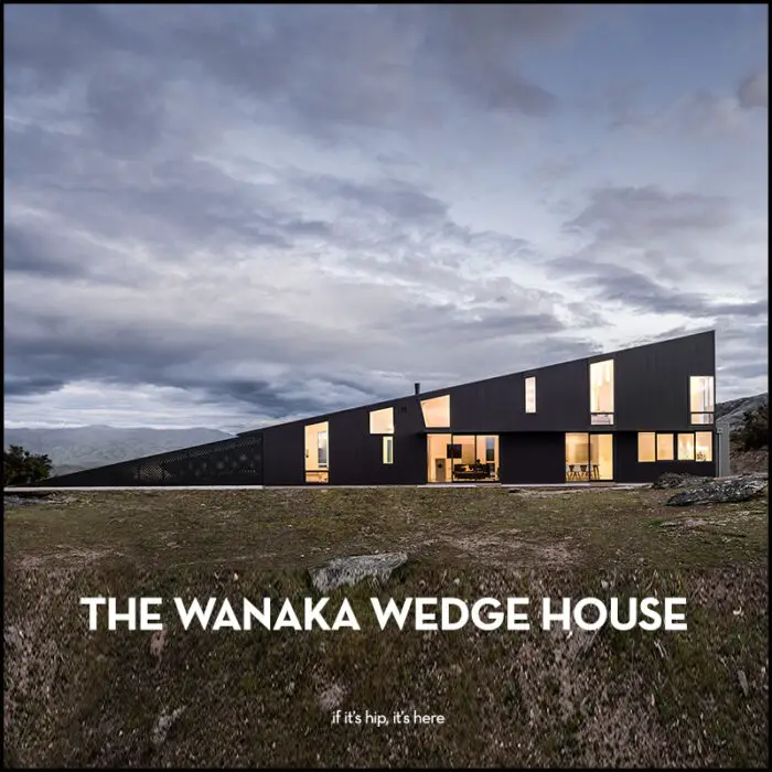 Read more about the article The Wild and Wonderful Wanaka Wedge House