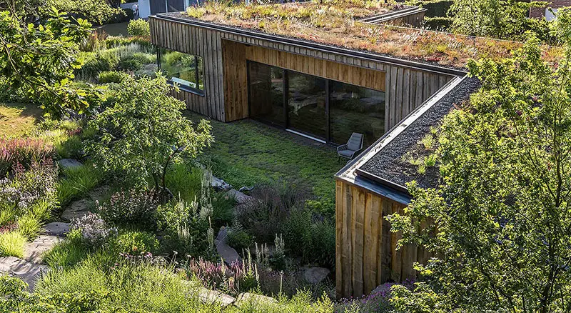 baumraum green dwelling living roof