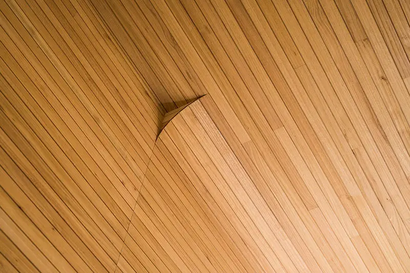 eucalyptus wood interior detail