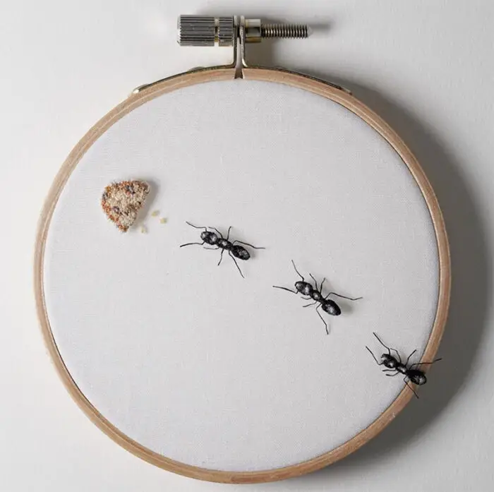 embroidery art