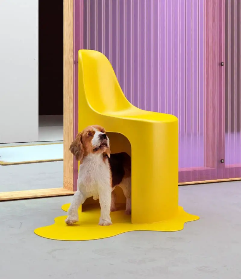 Eames chair dog house