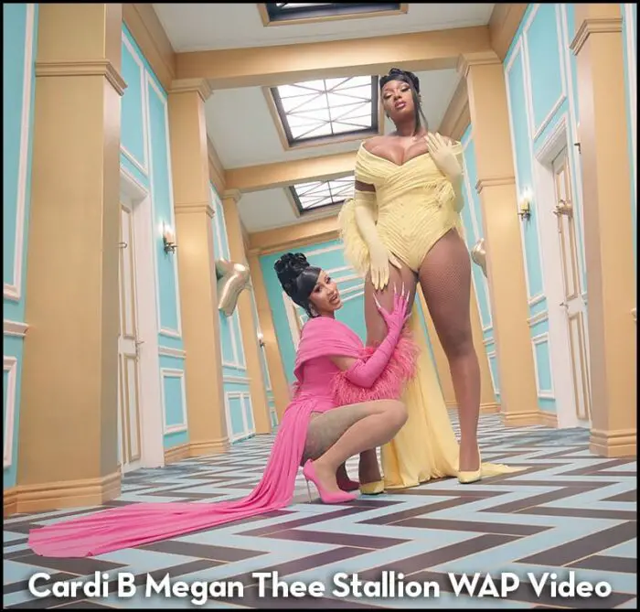 Read more about the article Cardi B and Megan Thee Stallion WAP Music Video Is A Cinematic Feast.