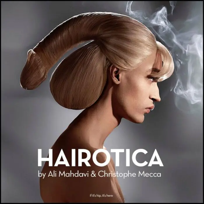 Hairotica by Ali Mahdavi and Christophe Mecca