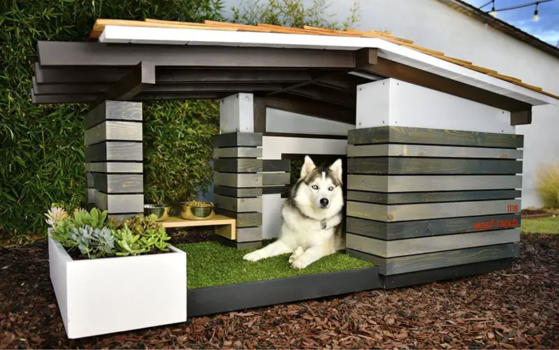 woofranch dog house