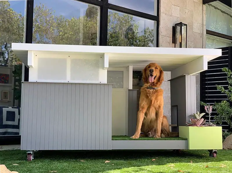 luxury dog house