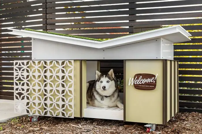 Custom Mid-Century Modern Dog Houses