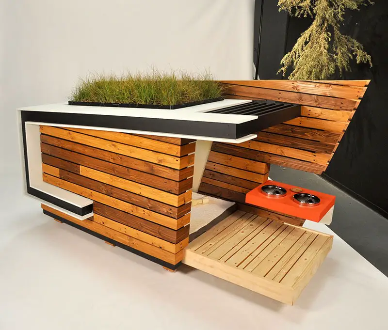 modern dog house