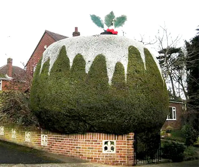 20ft-christmas pudding tree by Roger and Valerie Holley