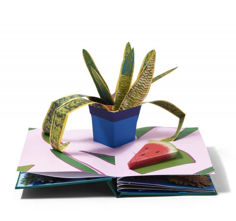 houseplants book