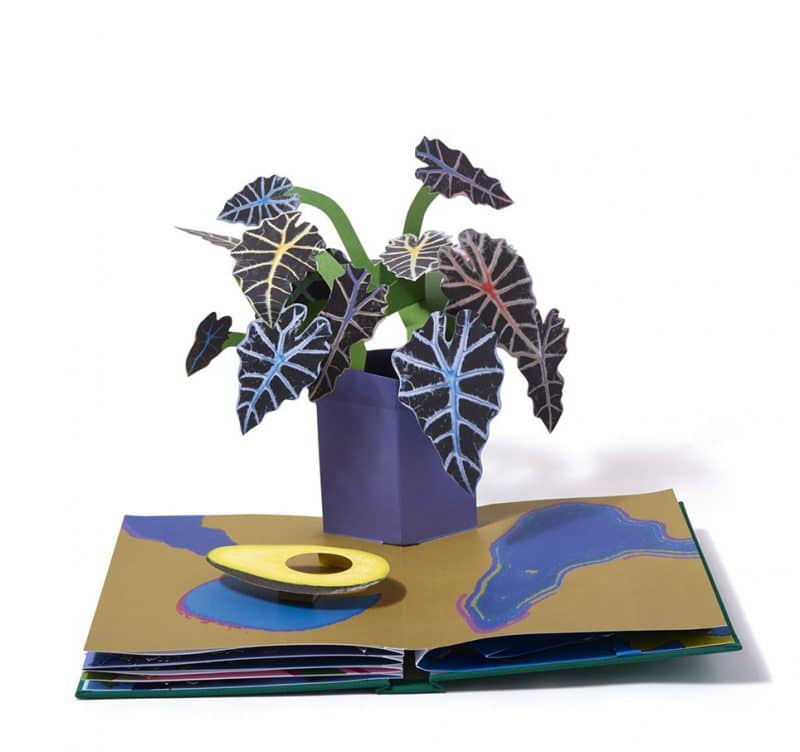 pop-up book of plants