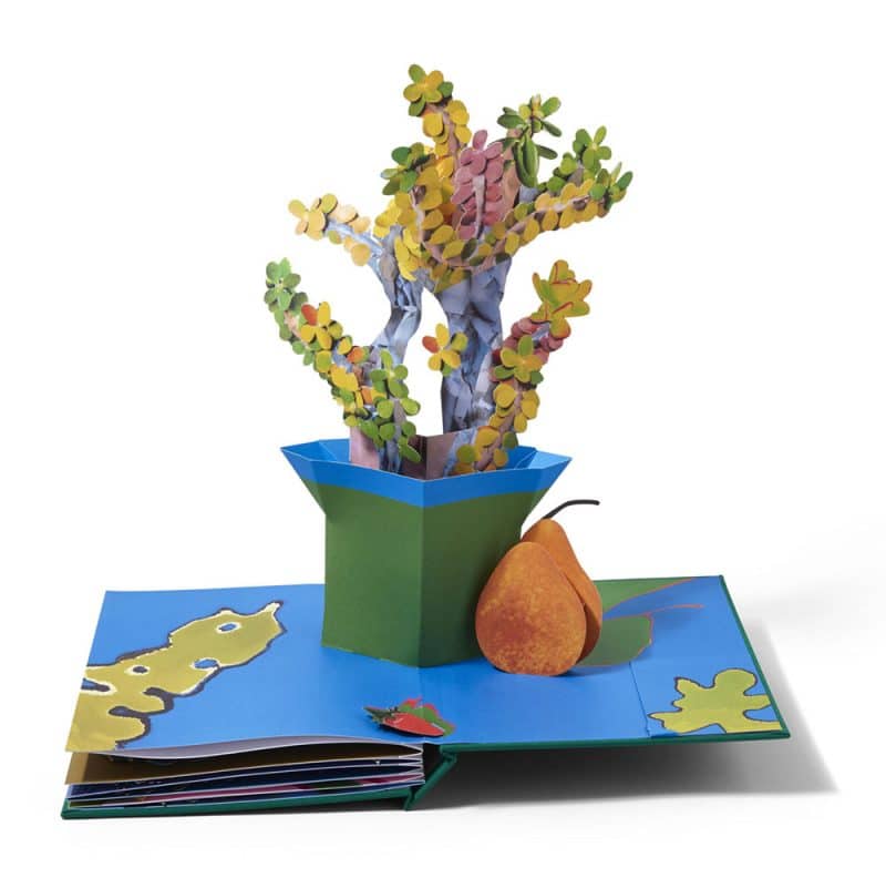 pop-up plant book 