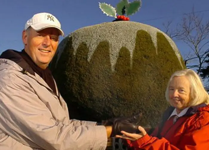 Holley christmas pudding hedge roger and valerie