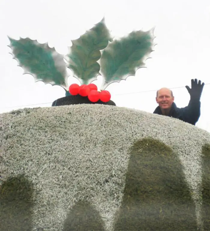 Holley christmas pudding hedge3